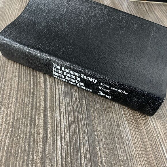 National Audubon Society Field Guide to Insects and Spiders : North America - Picture 2 of 12